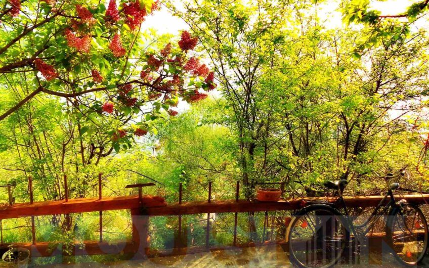 Kuća s bajkovitim pogledom na Dunav – Gardoš, Zemun