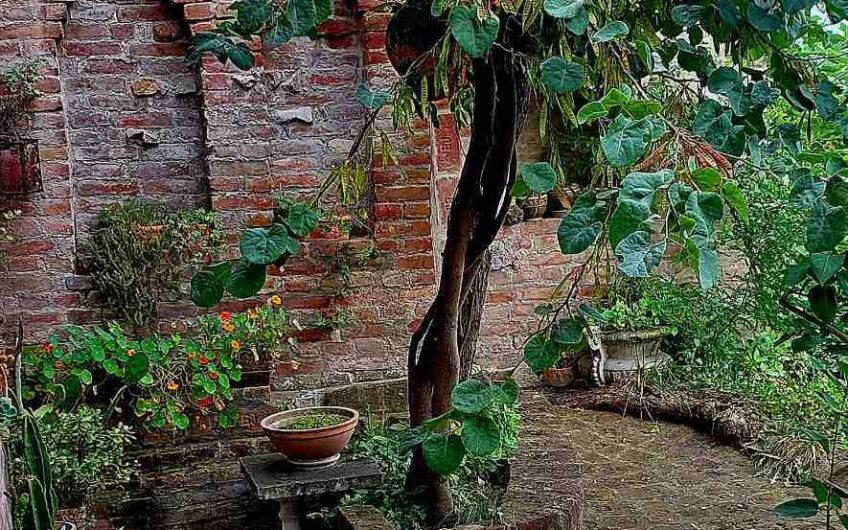 Kuća s bajkovitim pogledom na Dunav – Gardoš, Zemun